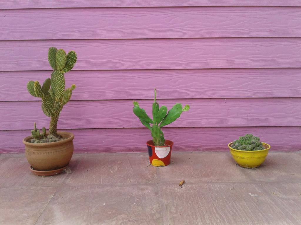 El Descanso Las Flores  Eksteriør billede